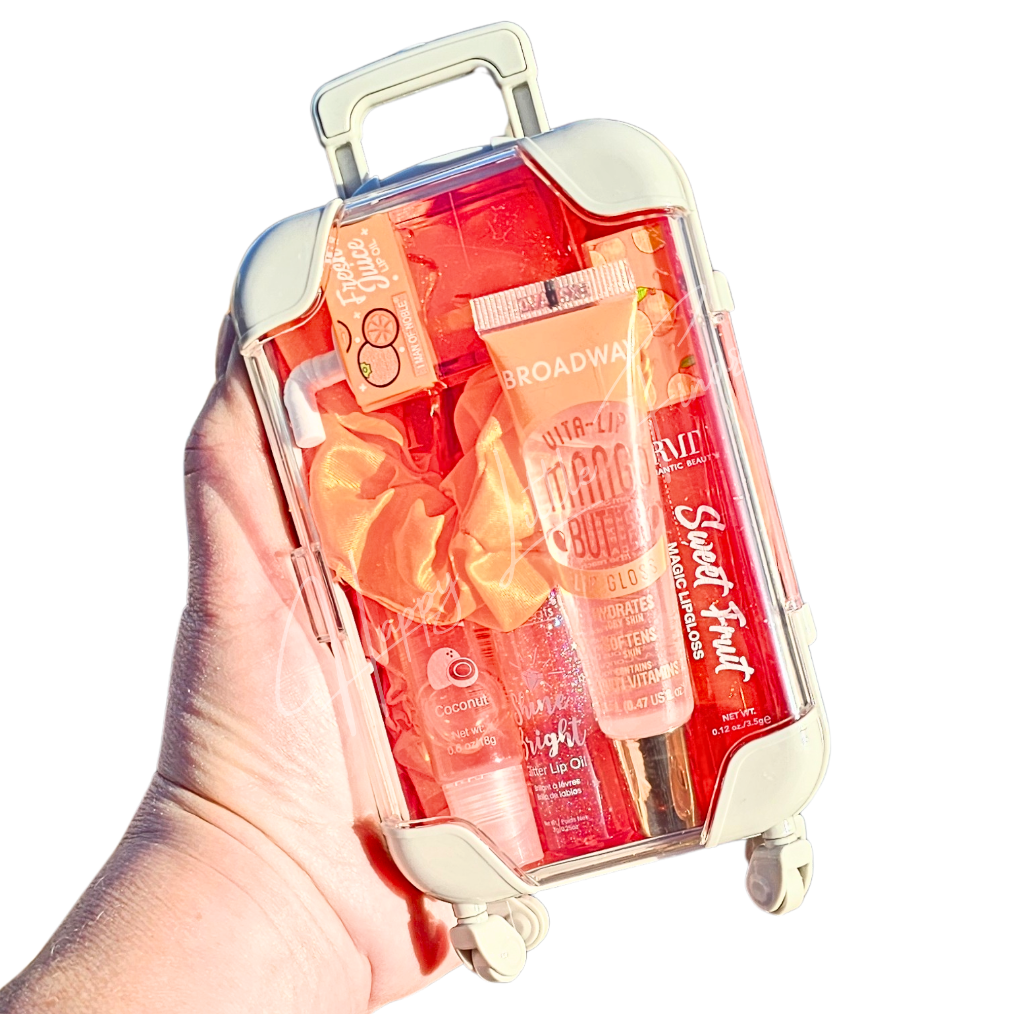 Classic Glam Mini Suitcase Set ✨️
